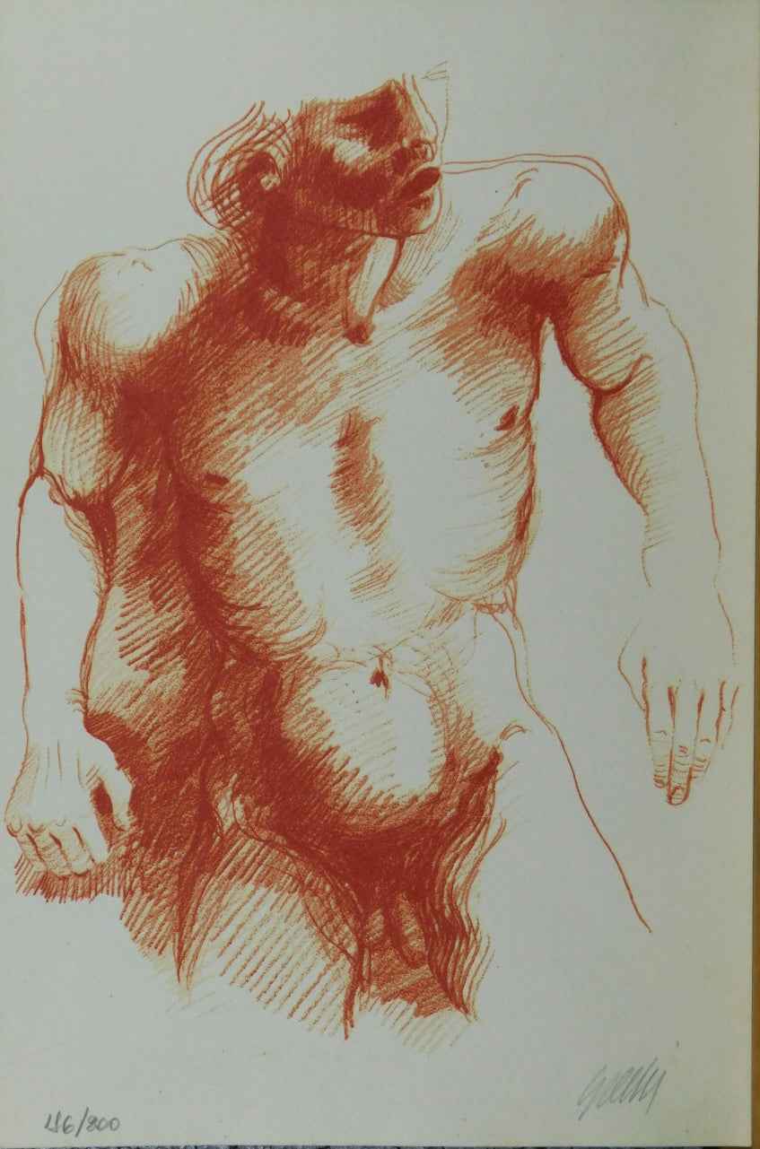 Autore Sconosciuto - Litografia 186/200