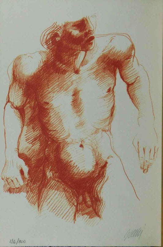 Autore Sconosciuto - Litografia 186/200